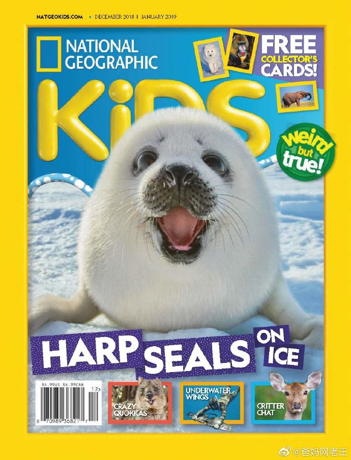 美国国家地理儿童版（英文原版）National Geographic Kids