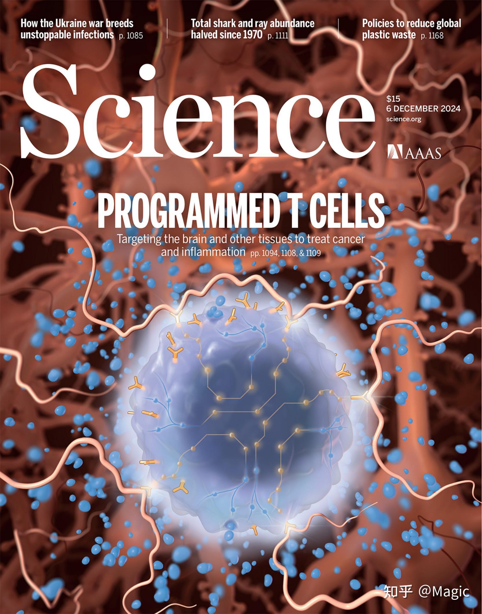 科学（个人订阅） Science. (美国)