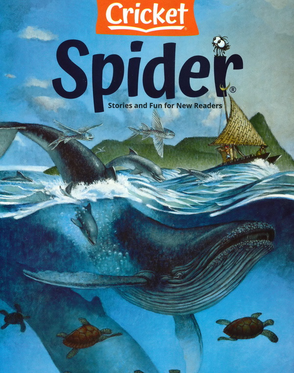 Spider蜘蛛 美国