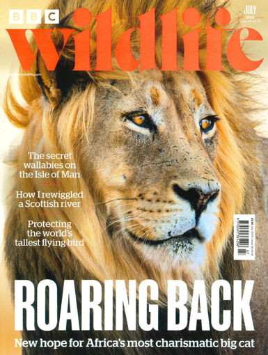 野生生物BBC Wildlife (英国)