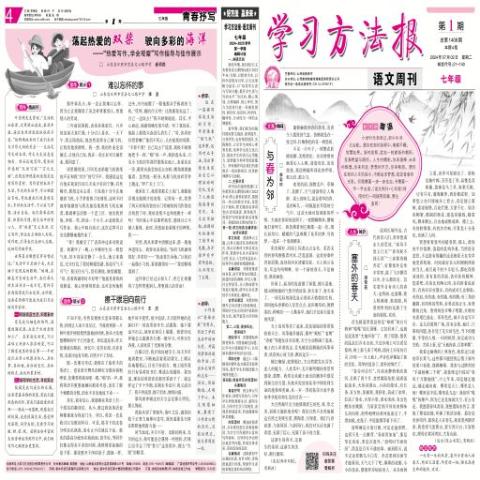学习方法报.语文周刊.七年级