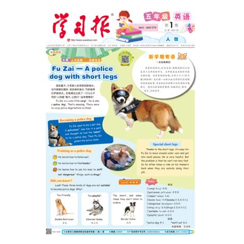 学习报.五年级英语人教