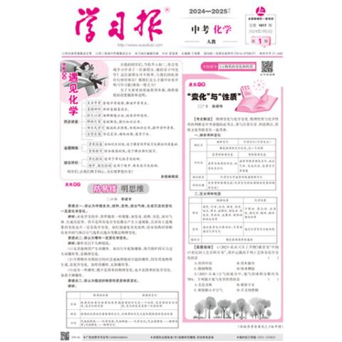 学习报九年级化学人教（中文版）