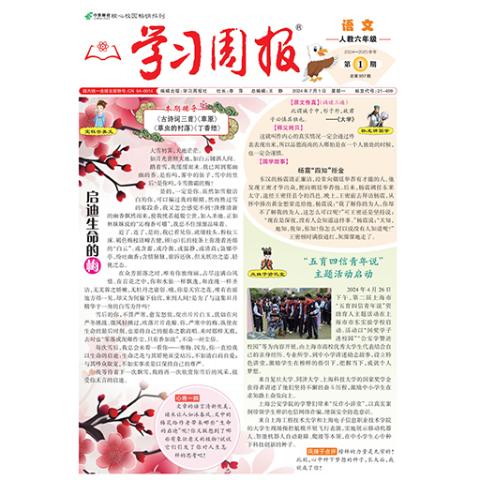 学习周报.语文.人教六年级