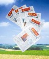 安徽日报.农村版