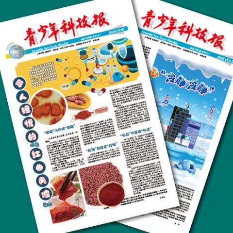 青少年科技报（中学）