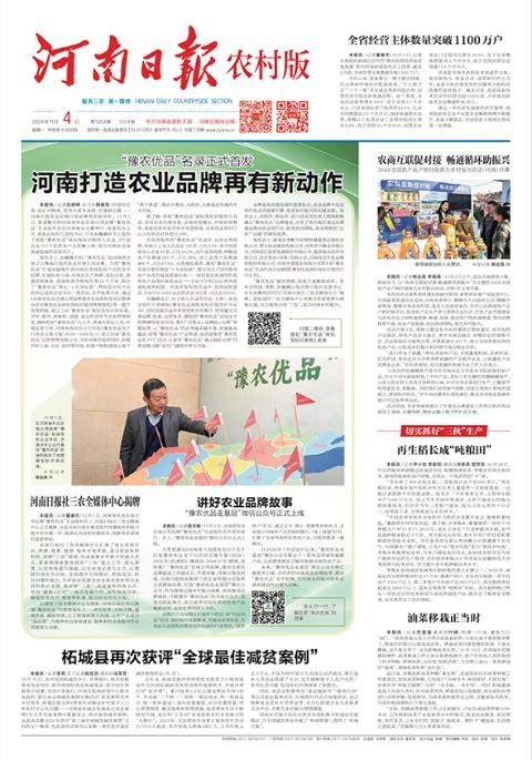 河南日报农村版