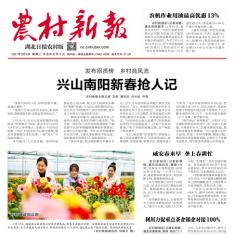 农村新报