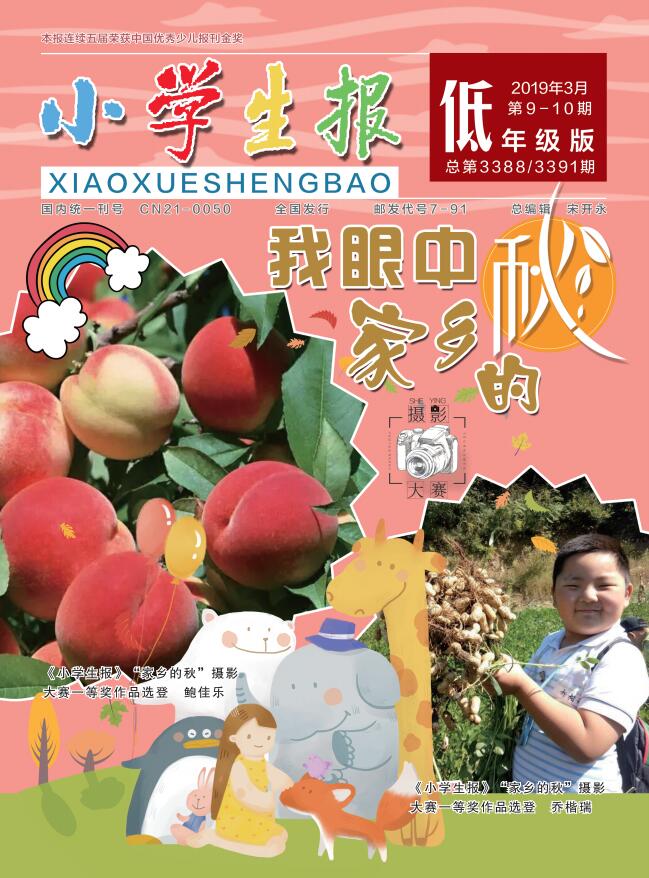 小学生报(低年级版)