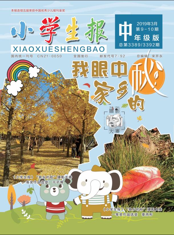 小学生报(中年级版)