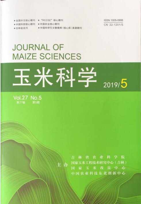 玉米科学