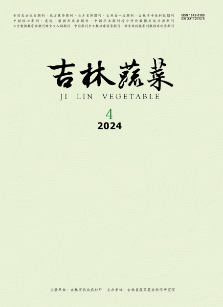 吉林蔬菜