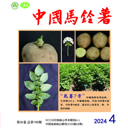 中国马铃薯