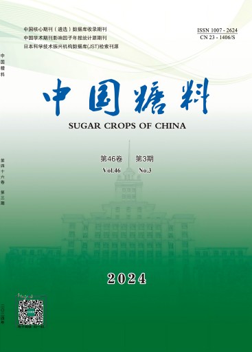 中国糖料