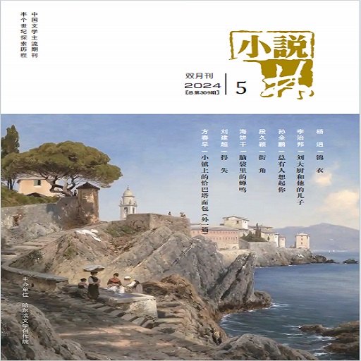 小说林