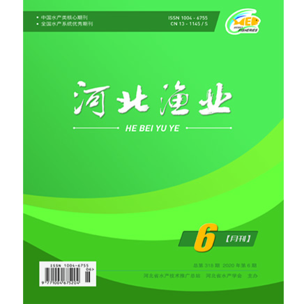 河北渔业