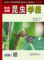 昆虫学报