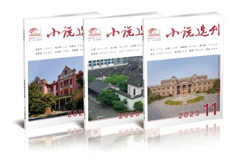 小说选刊