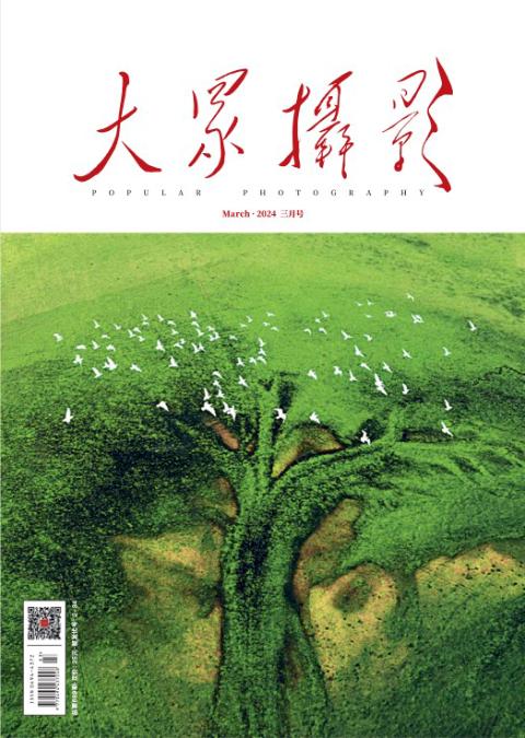 大众摄影