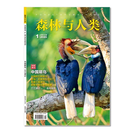 森林与人类