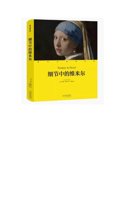 细节中的艺术家-细节中的维米尔