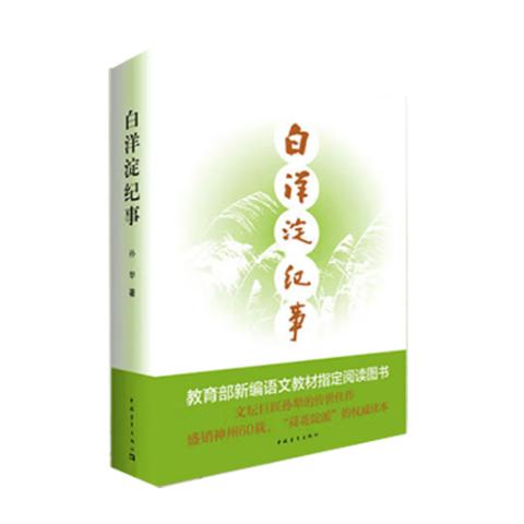 白洋淀纪事