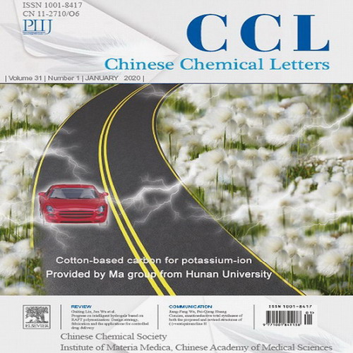 中国化学快报（英文版）ChineseChemicalLetters