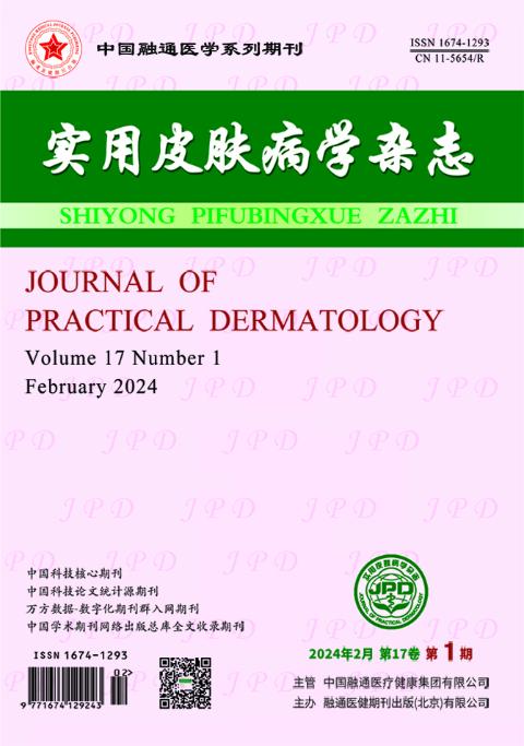 实用皮肤病学杂志