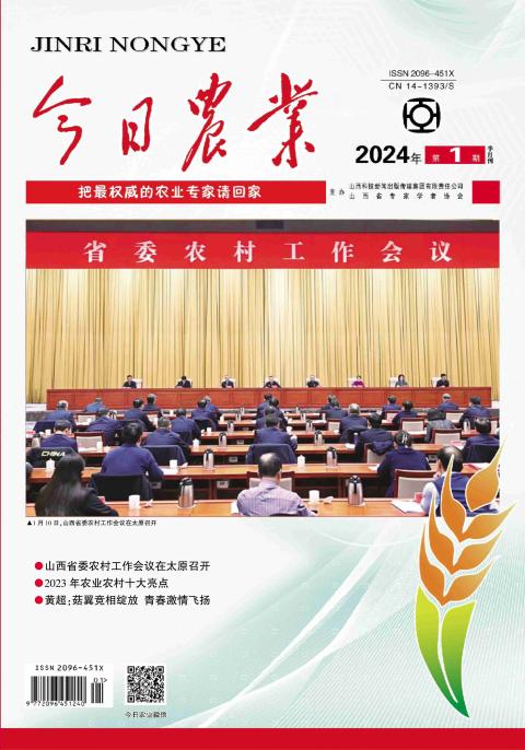 今日农业