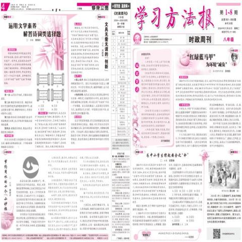 学习方法报.时政周刊八年级