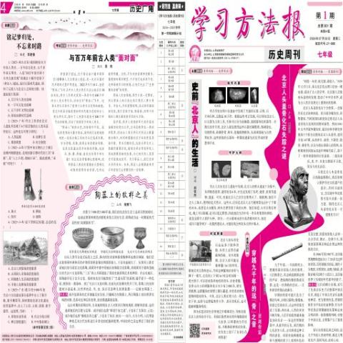 学习方法报.历史周刊七年级