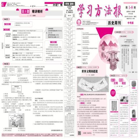 学习方法报历史周刊中考版