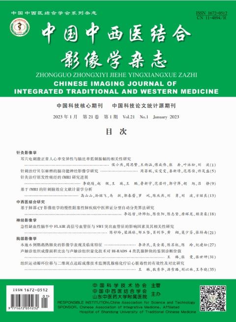 中国中西医结合影像学杂志