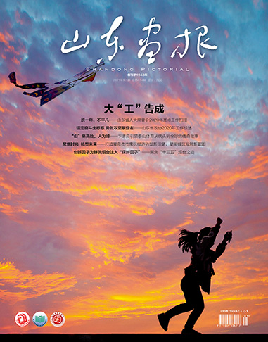 山东画报