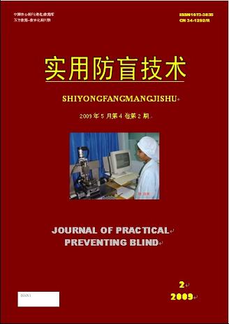 实用防盲技术