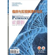 临床与实验病理学杂志