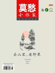 莫愁·小作家