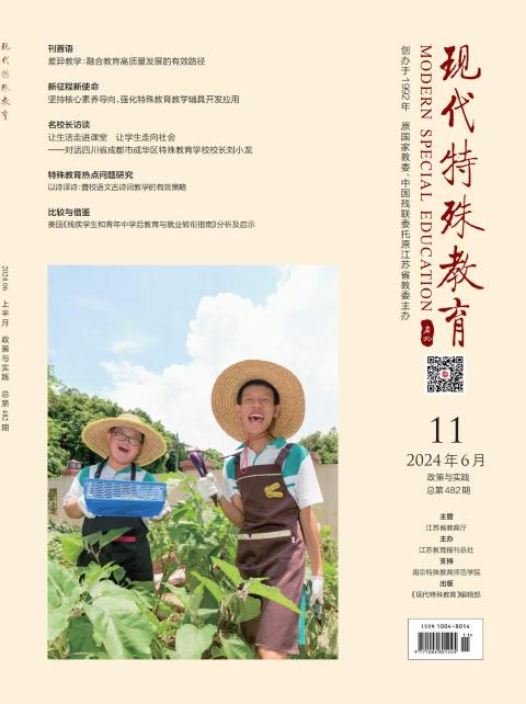现代特殊教育（政策与实践）
