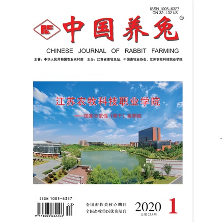 中国养兔