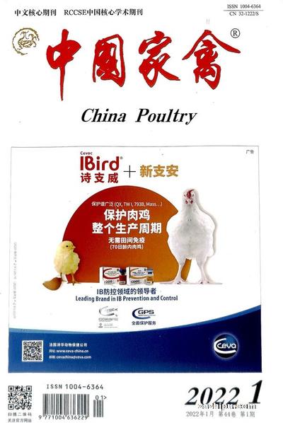 中国家禽