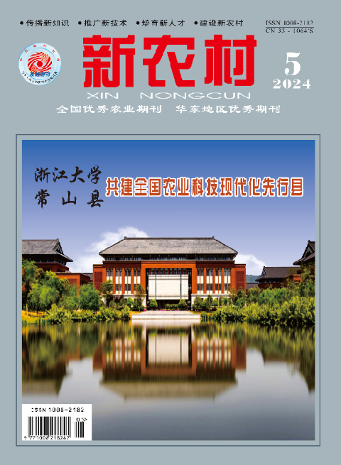 新农村