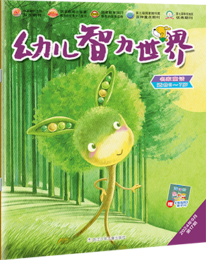 幼儿智力世界
