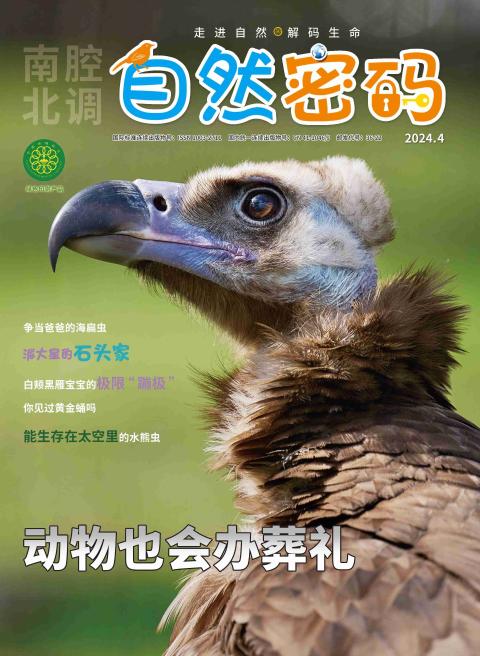 南腔北调·自然密码