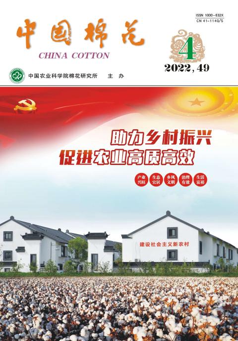 中国棉花