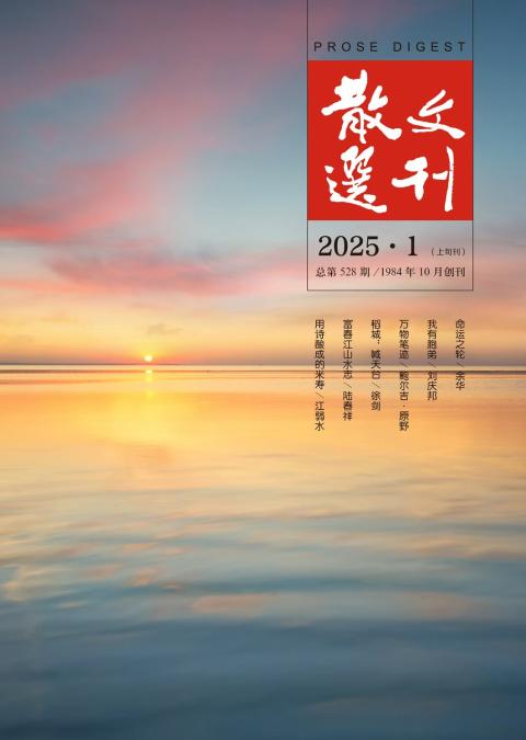 散文选刊（选刊版）