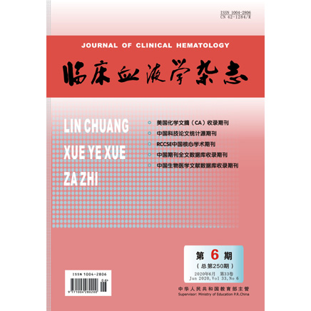 临床血液学杂志（输血与检验）