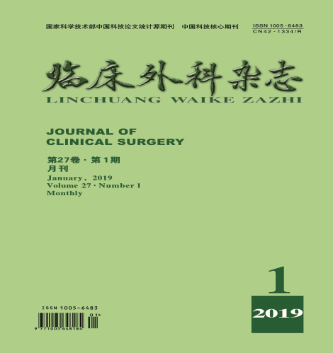临床外科杂志