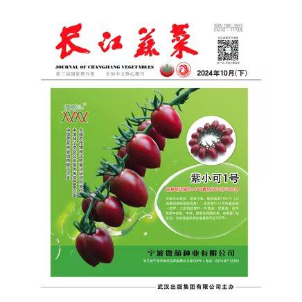 长江蔬菜下半月刊