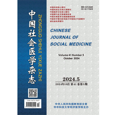 中国社会医学杂志