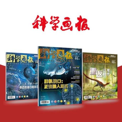 科学画报
